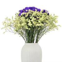 紫色+黄水晶 一大束25含【陶瓷】花瓶 云南满天星干花花束客厅摆件勿忘我组合含瓶干花客厅真花插花摆设