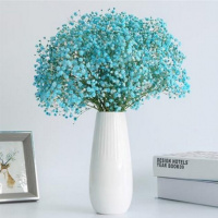 蓝色满天星 一大束30支 云南满天星干花花束客厅摆件勿忘我组合含瓶干花客厅真花插花摆设