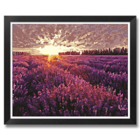 5084普罗旺斯薰衣草 50x65彩色底布厚内框+颜料+画笔 手工diy填色数字油画风景明星易烊千玺情侣手绘古典名画40