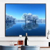 镜花雪月MY0045 40*50带内框1.6cm厚 diy数字油画客厅风景动物花卉动漫人物填色手绘油彩画装饰画