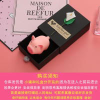 会叫的小猪猪礼盒抖音网红同款送给男女生朋友创意恶搞怪惊喜 粉色 一只小猪