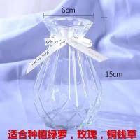 玻璃花瓶加厚 客厅插花摆件水培富贵竹百合花瓶欧式大号透明花器 我想要性比高花瓶(加厚款) 高15厘米[透明款式]1个装