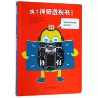 音像咦透视书(法)苏菲·多瓦|译者:麦维|绘画:(英)OKO工作室