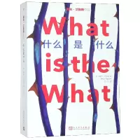 音像什么是什么/戴夫·艾格斯作品(美)戴夫·艾格斯|译者:陈伟