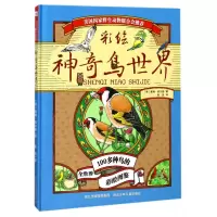 音像彩绘鸟世界(精)(美)基姆·库尔基|译者:张浩