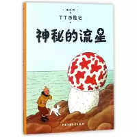 音像丁丁历险记—神秘的流星(比)埃尔热|译者:王炳东
