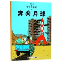 音像丁丁历险记—奔向月球(比)埃尔热|译者:王炳东