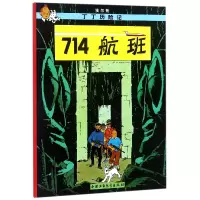 音像丁丁历险记—714航班(比)埃尔热|译者:王炳东