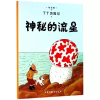 音像丁丁历险记—神秘的流星(比)埃尔热|译者:王炳东