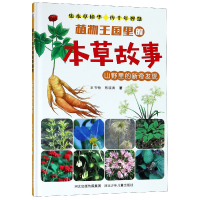 音像植物王国里的本草故事(山野里的新奇发现)(精)王书畅//蔡晓青