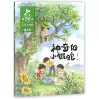音像的小银蛇(注音美绘版)/金波四季童话金波