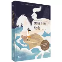音像黑骑士的秘密邹凡凡