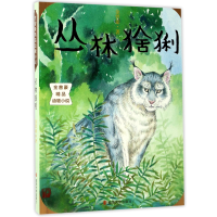 音像丛林猞猁/金曾豪精品动物小说金曾豪