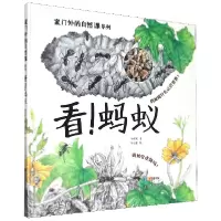 音像看蚂蚁(精)/家门外的自然课系列孙煜尧