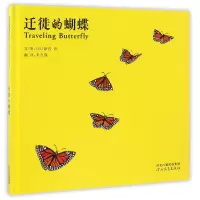 音像迁徙的蝴蝶(精)(日)新宫晋|译者:朱自强|绘画:(日)新宫晋