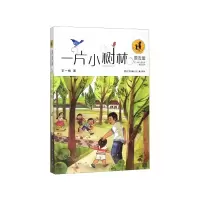 音像一片小树林/漂流屋王一梅儿童文学精品系列王一梅