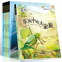 音像探索动物之旅--奇趣动物绘本6册陈奇