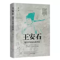 音像王安石(毁誉千年的大改革家)赵松著