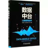 音像数据中台(让数据用起来)(精)付登坡,江敏,任寅姿,孙少忆等
