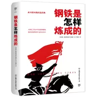 音像钢铁是怎样炼成的(平装)(苏)奥斯特洛夫斯基