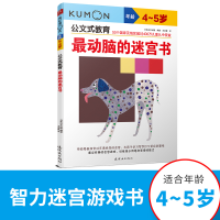 音像动脑的迷宫书(年龄4-5岁)/公文式教育米海鹏