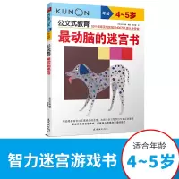 音像动脑的迷宫书(年龄4-5岁)/公文式教育米海鹏