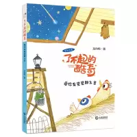 音像了不起的酷奇·爱你有星星那么多(注音版)龙向梅