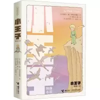 音像小王子:图像小说(法)安托万·德·圣埃克苏佩里