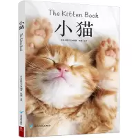音像小猫日本日贩IPS