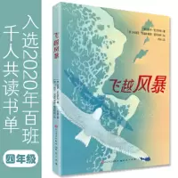 音像飞越风暴圭多·巴达萨利