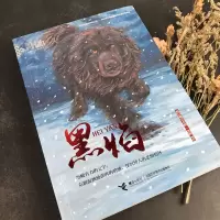 音像黑焰/黑鹤动物文学精品系列格日勒其木格·黑鹤