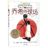 音像乔希的球场/长青藤国际大奖小说书系夸迈·亚历山大