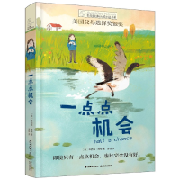 音像一点点机会/长青藤国际大奖小说书系辛西娅·洛德