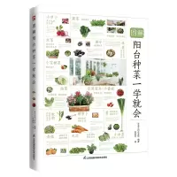 音像图解阳台种菜一学就会日本主妇之友社著