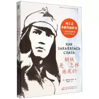 音像钢铁是怎样炼成的[苏]奥斯特洛夫斯基 著,袁崇章 译