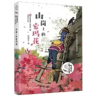 音像山岗上的索玛花/中国当代儿童小说大系徐继东
