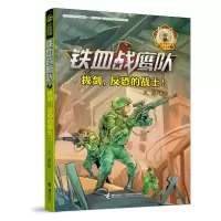 音像铁血战鹰队(7拔剑反恐的战士)/八路少年空军小说系列八路