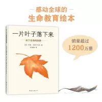 音像一片叶子落下来(关于生命的故事)(精)利奥·巴斯卡利亚