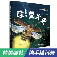 音像哇萤火虫(精)/自然课哇系列付新华文/摄影