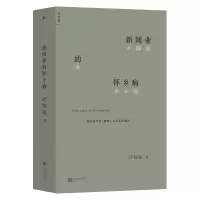 音像新闻业的怀乡病许知远