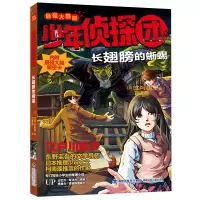 音像长翅膀的蜥蜴(脑版)/少年侦探团(日)江户川乱步