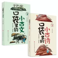 音像口袋里的小古文+小古诗(送布袋)(共2册)朱文君