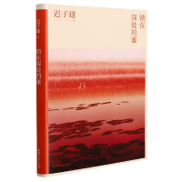 音像锁在深处的蜜迟子建著