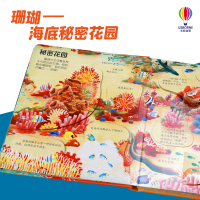 音像揭秘珊瑚英国尤斯伯恩出版公司