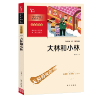 音像新彩插励志版大林和小林张天翼