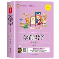 音像智慧童书坊--学前识字宋璐
