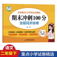 音像语文二年级下期末冲刺100分全能闯关秘卷洪峰