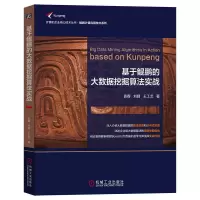音像基于鲲鹏的大数据挖掘算法实战袁春,刘婧,王工艺