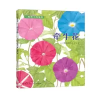 音像牵牛花荒井真纪