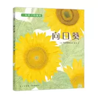 音像向日葵荒井真纪